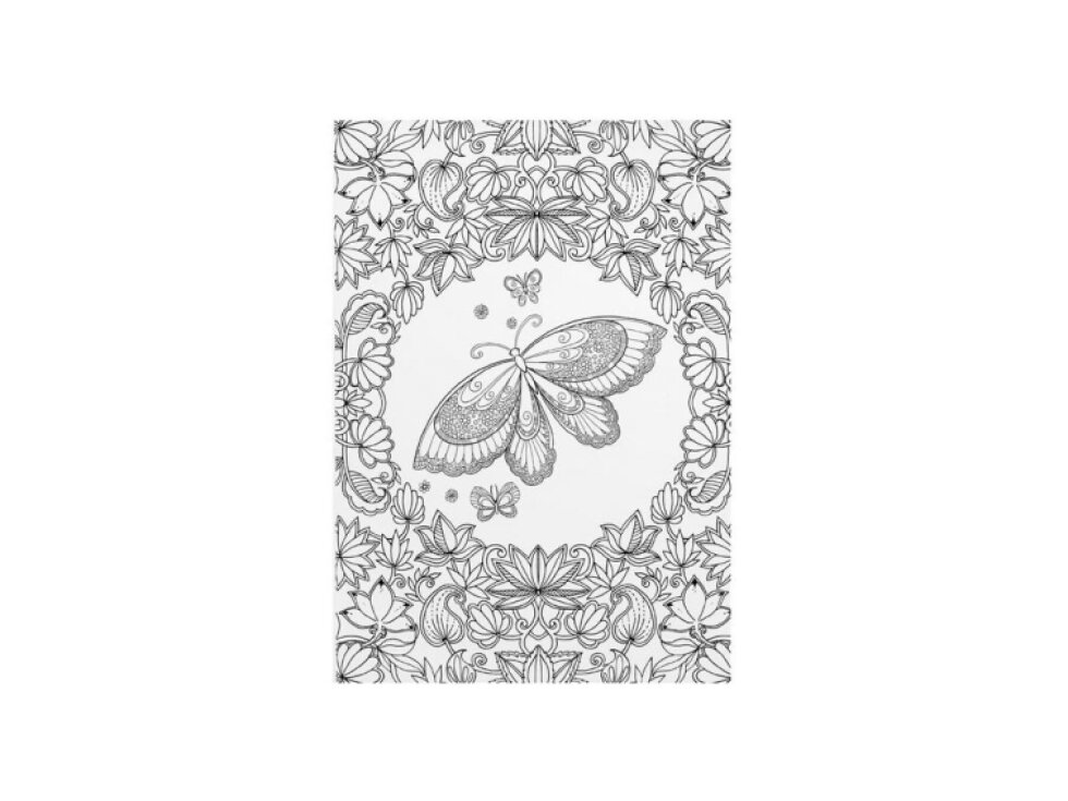 Omalovánky antistresové - Motýlí zahrada