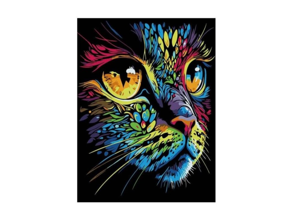 Malování na černé plátno 30 x 40 cm, kočka