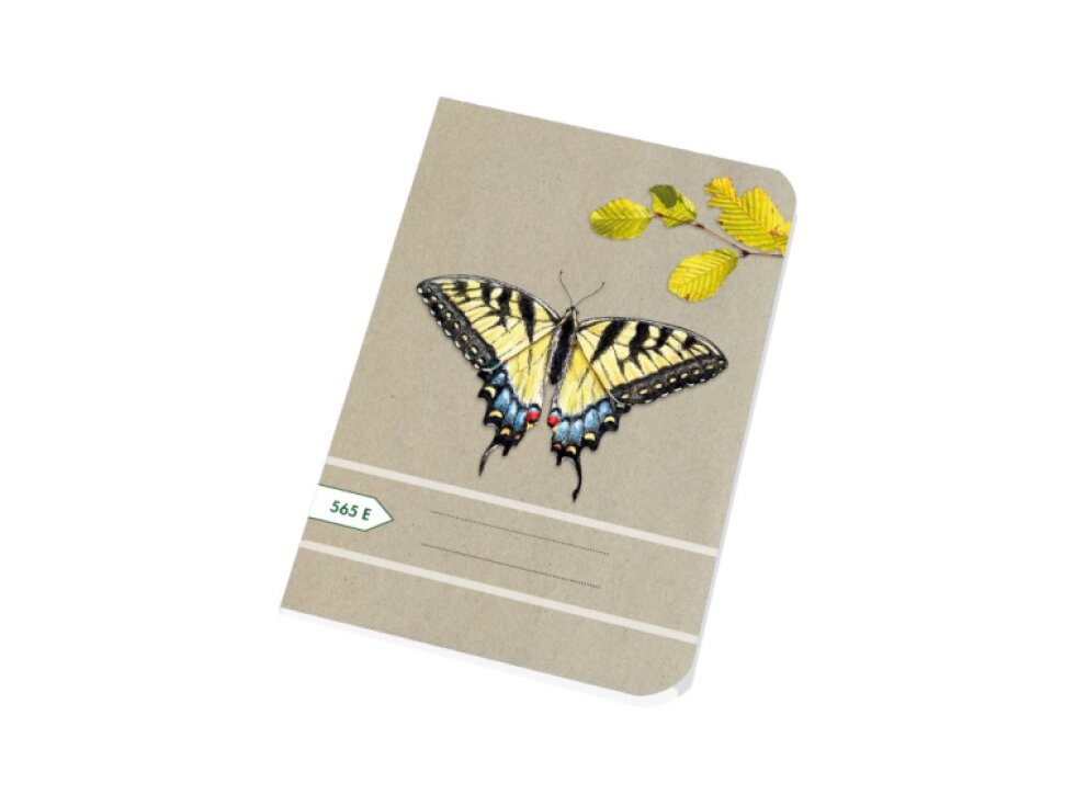 Školní sešit A5 - 565E