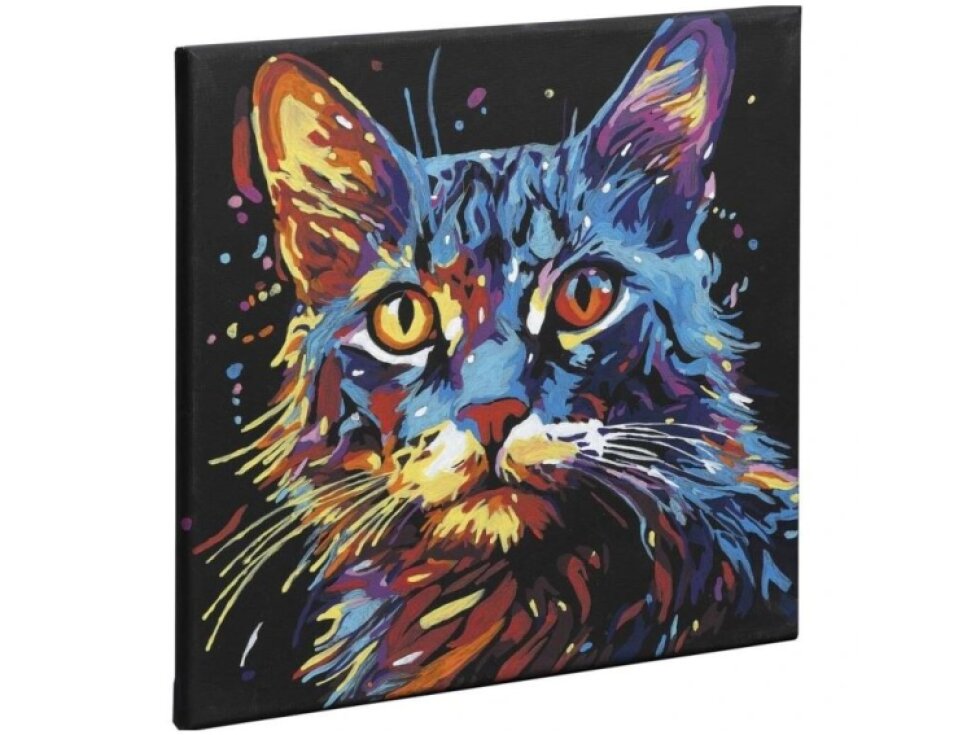 Malování podle čísel 30 x 30 cm na černé plátno - kočka