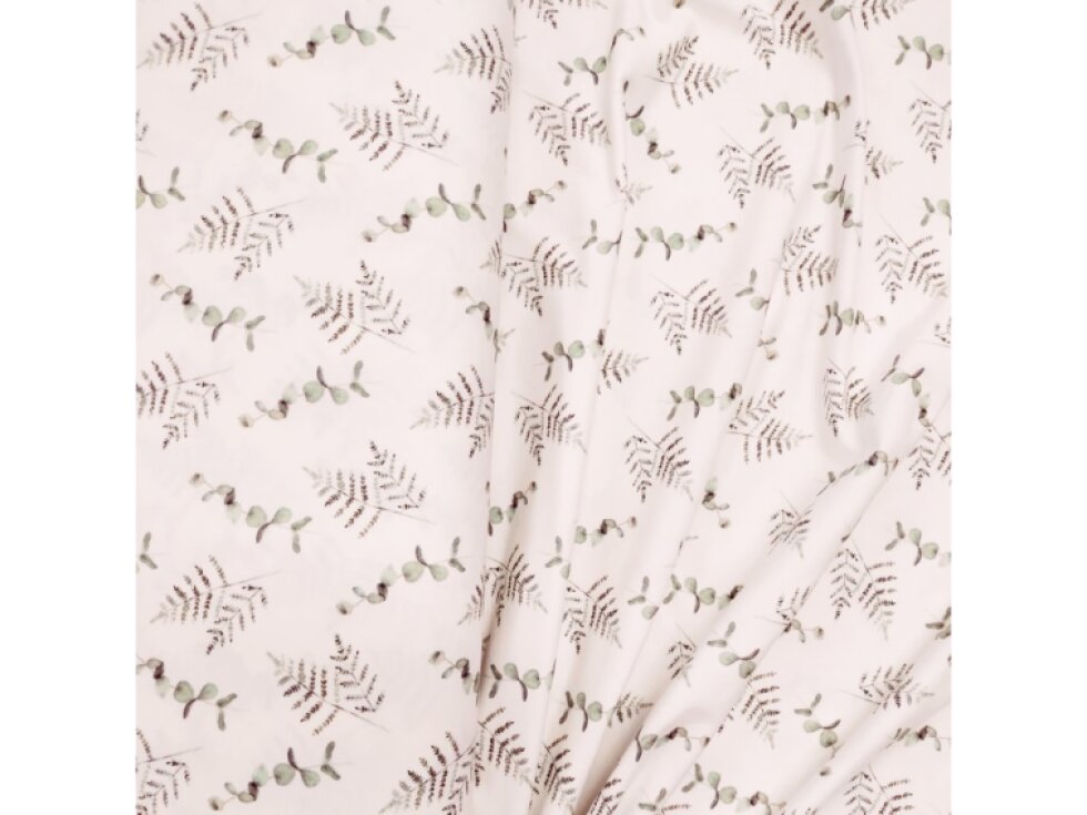 Úplet - Eukalyptus a kapradí