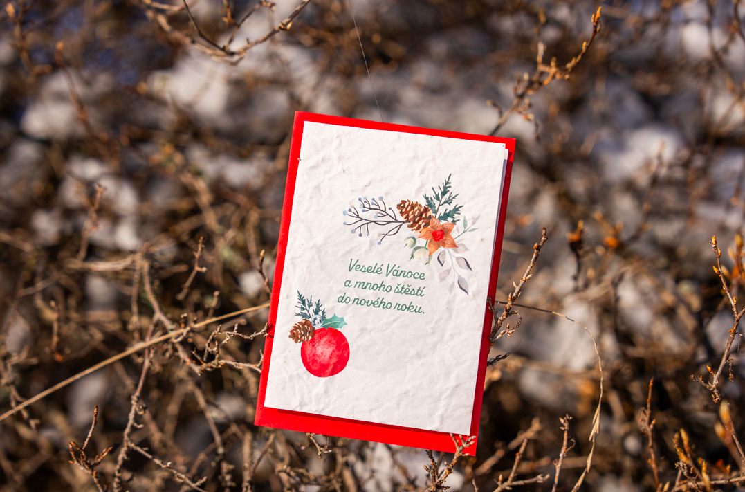 ROSTOUCÍ PAPÍR - PF