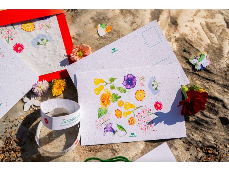 ROSTOUCÍ PAPÍR - Pohled