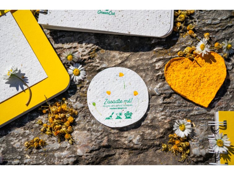 ROSTOUCÍ PAPÍR - Placka