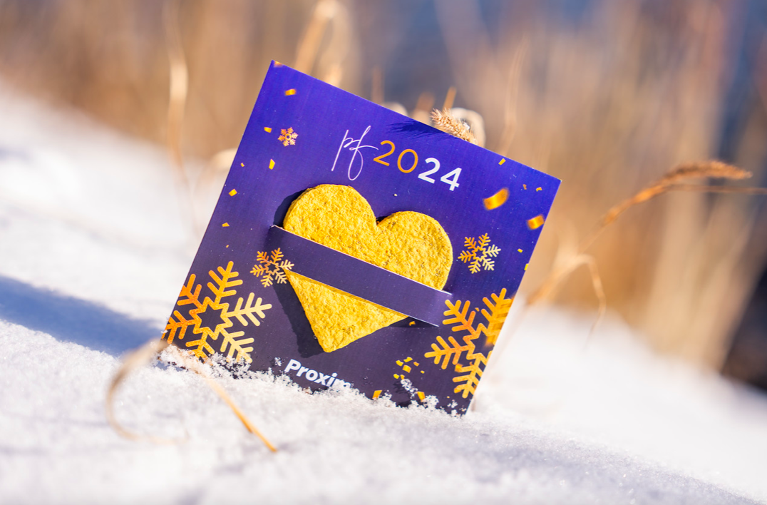 SEED HEARTS - Vánoční