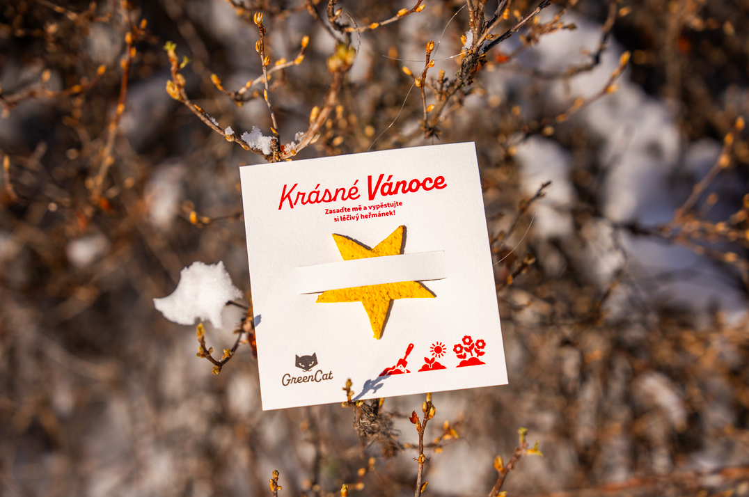 SEED HEARTS - Vánoční