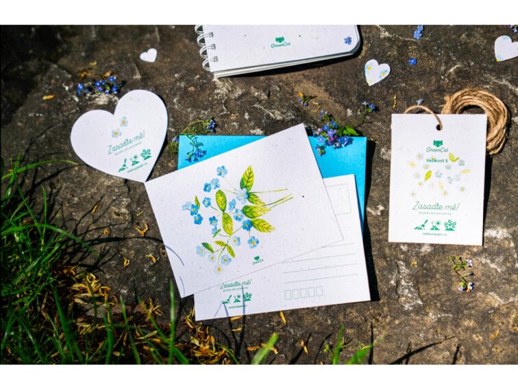 ROSTOUCÍ PAPÍR - Pohled