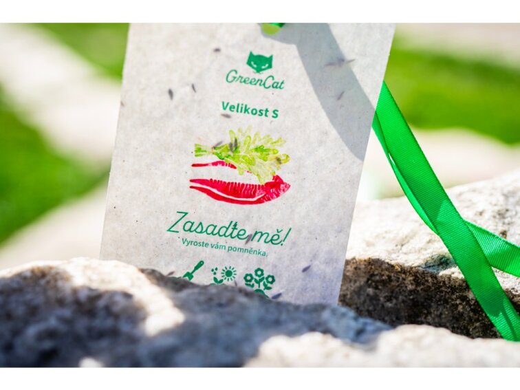 ROSTOUCÍ PAPÍR - Visačka