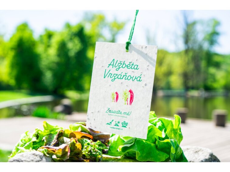 ROSTOUCÍ PAPÍR - Jmenovka