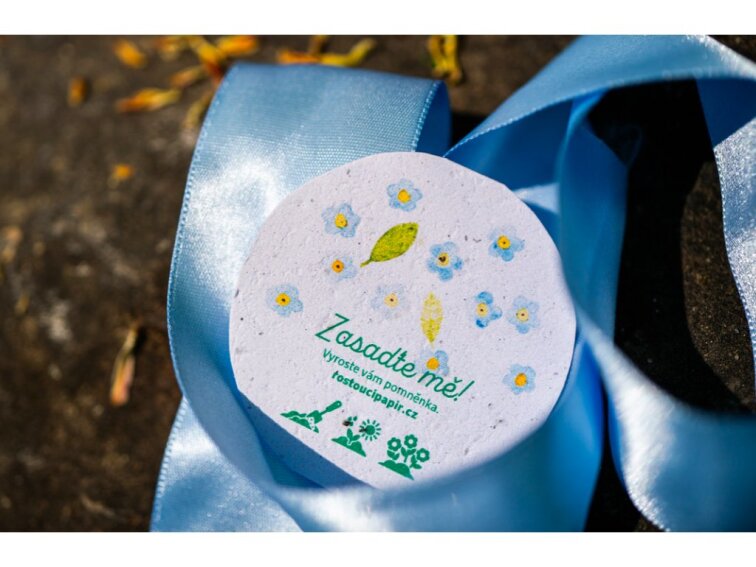 ROSTOUCÍ PAPÍR - Placka