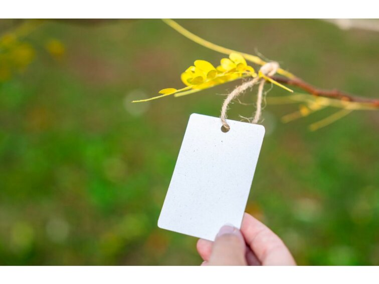 VISAČKA z recy papíru