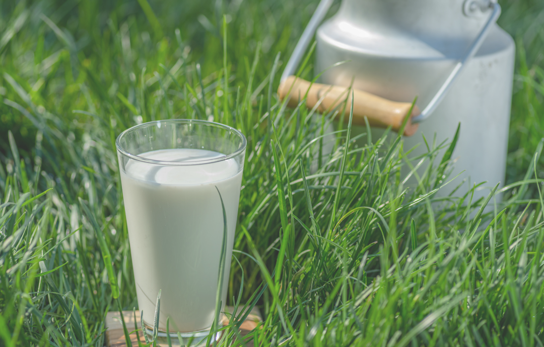 EDENPharma Kozie Kolostrum