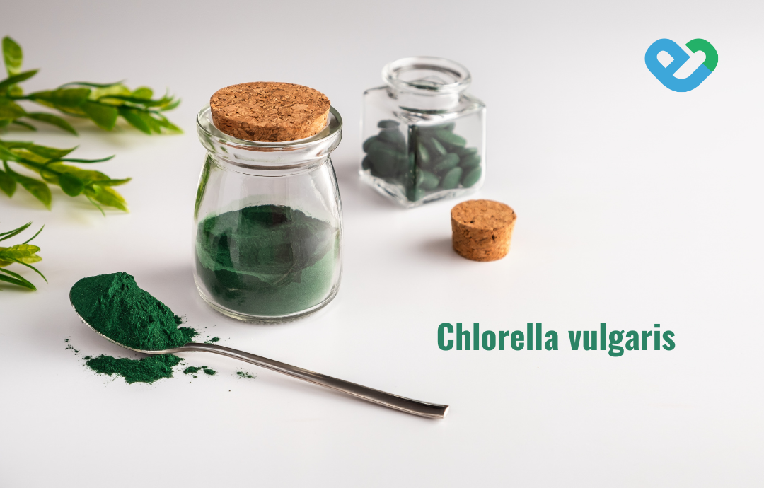 EDENPharma Chlorella + Spirulina 120+30 tbl