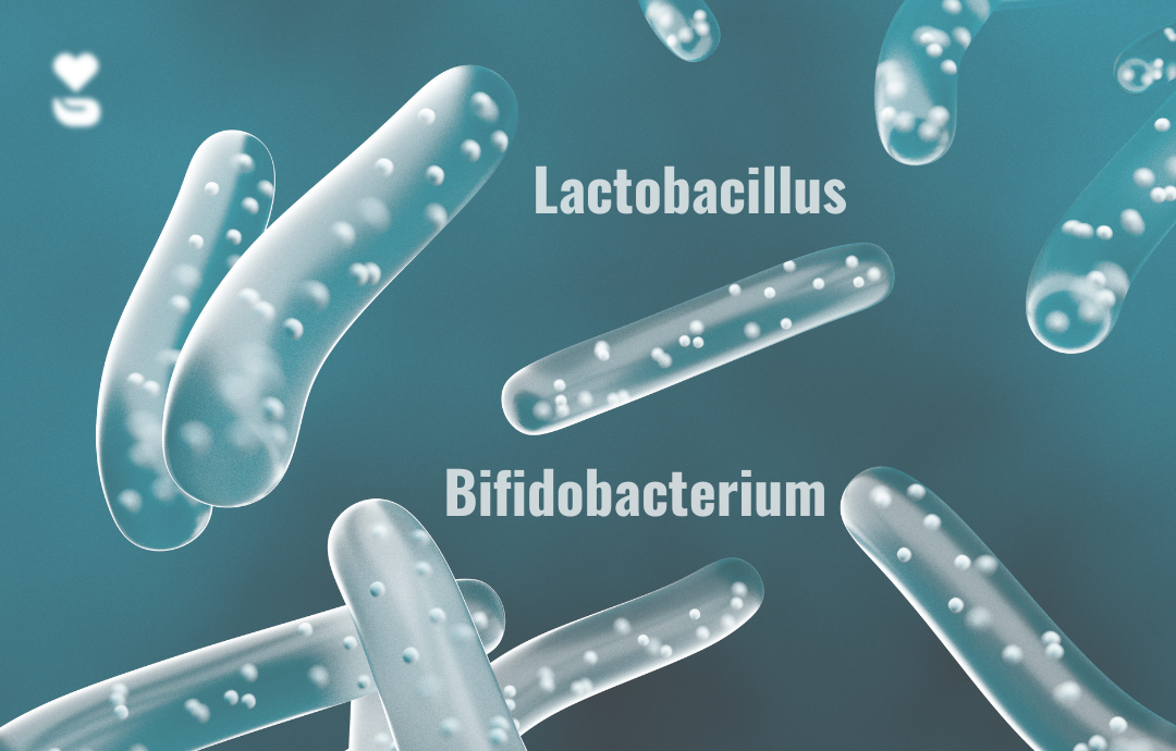 EDENPharma Lactobacillus + Bifidobacterium 30 cps
