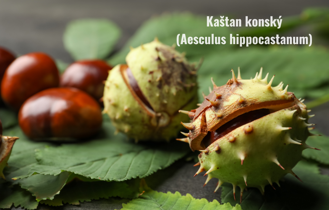 EDENPharma Kaštanový gel 300+50 g