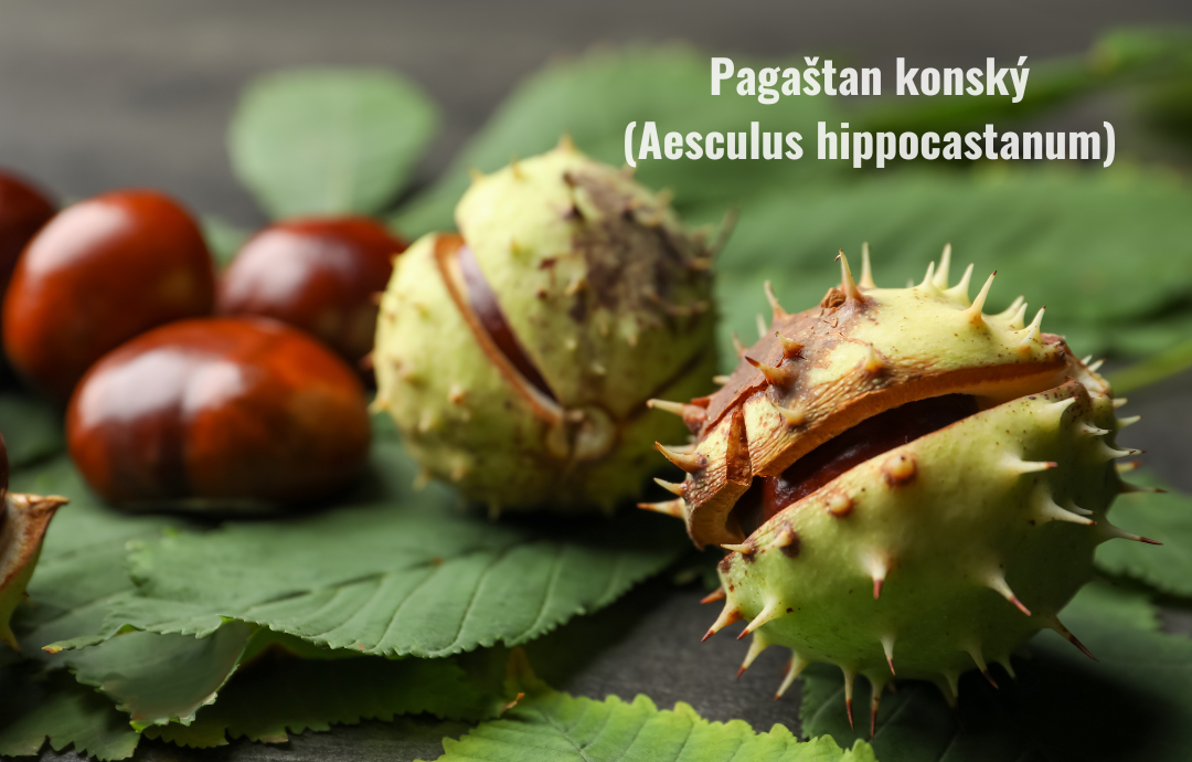 EDENPharma Gaštanový gél 300+50 g