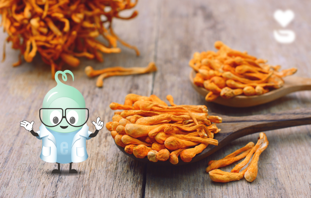 EDENPharma Cordyceps sinensis 6000 60 cps