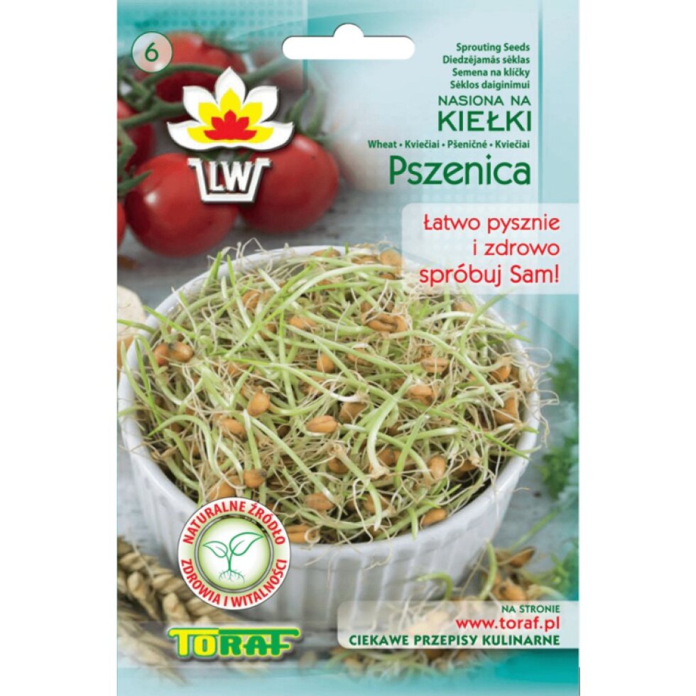 Pšenice semínka na klíčení - 50 g