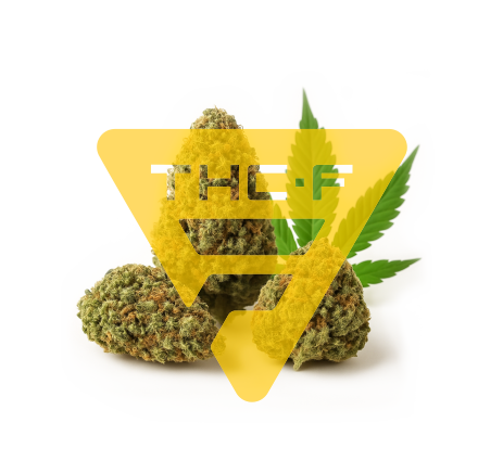 THC-F květ konopí | Guava Gelato