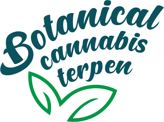 EPN disPOD | Sweety Amnesia