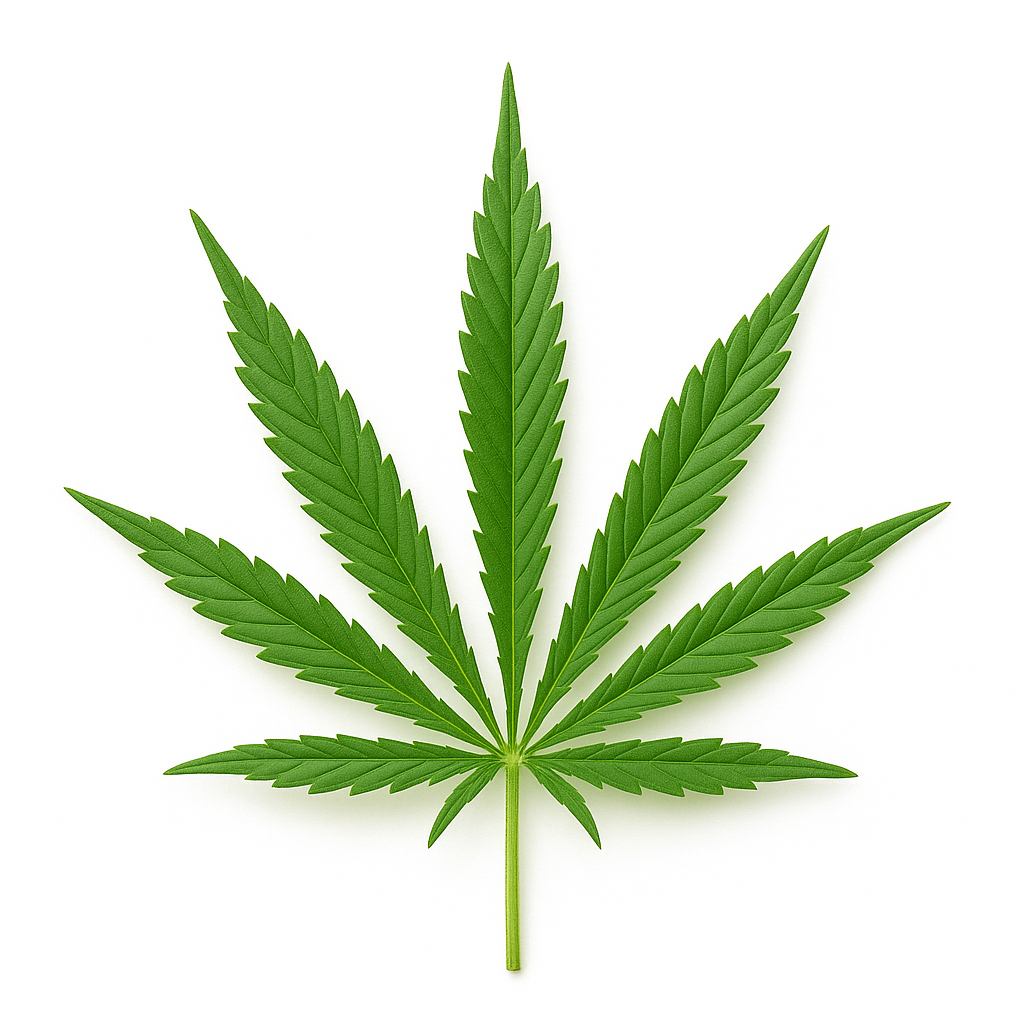 THC-F želé jahoda 6ks