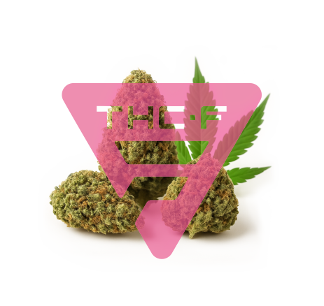 THC-F květ konopí | Bubble Gum