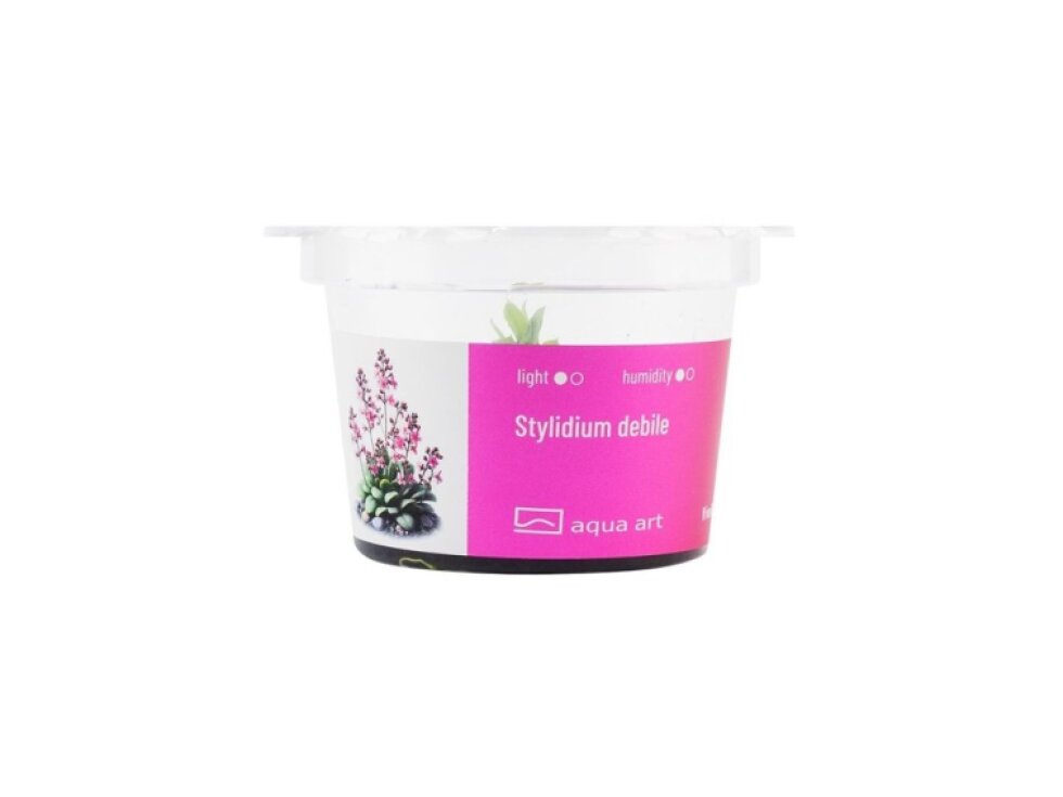Aqua Art Stylidium debilitation