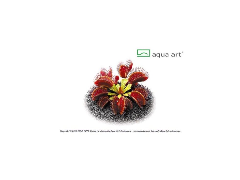 Aqua Art Dionaea muscipula Ring