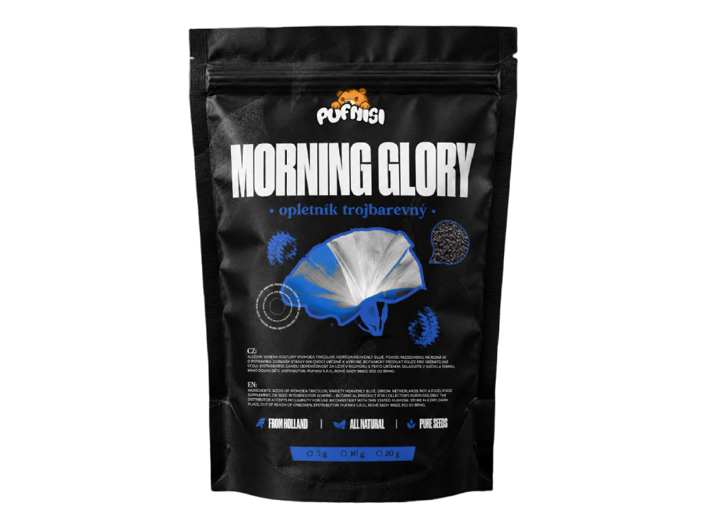 Morning Glory - Opletník trojbarevný