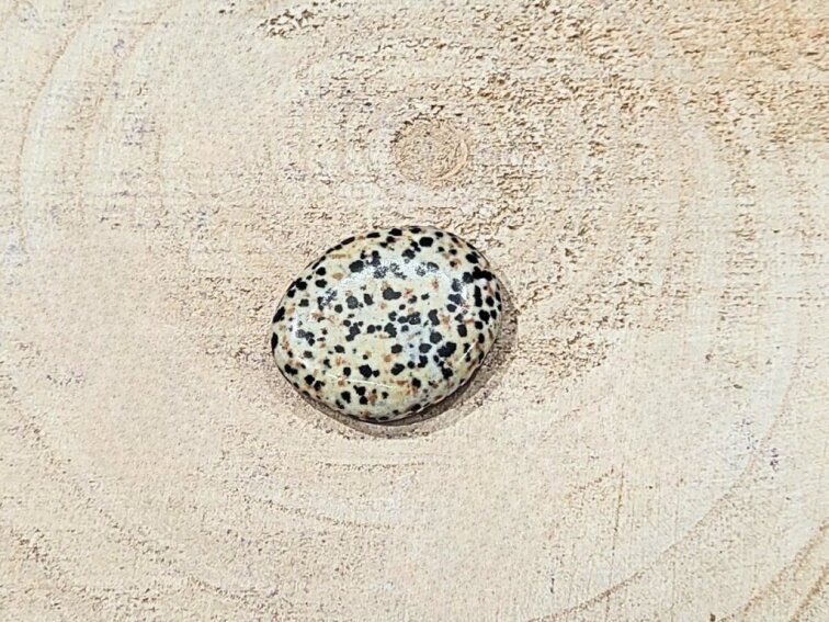 Jaspis dalmatin - placka tromlovaný kámen; 40-45mm