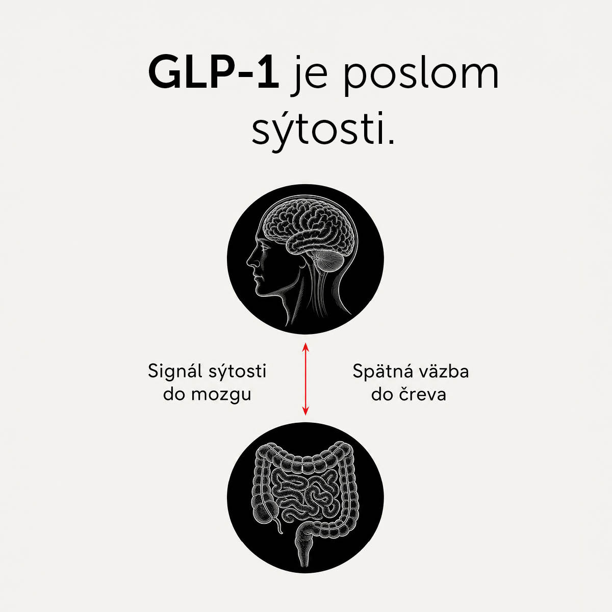 GLP-1 Probio Aktiv