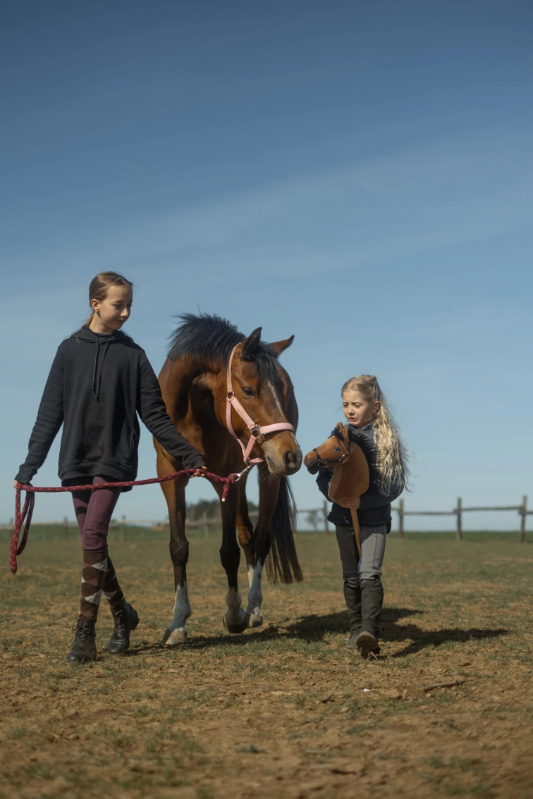 Wie man mit Hobby Horsing anfängt