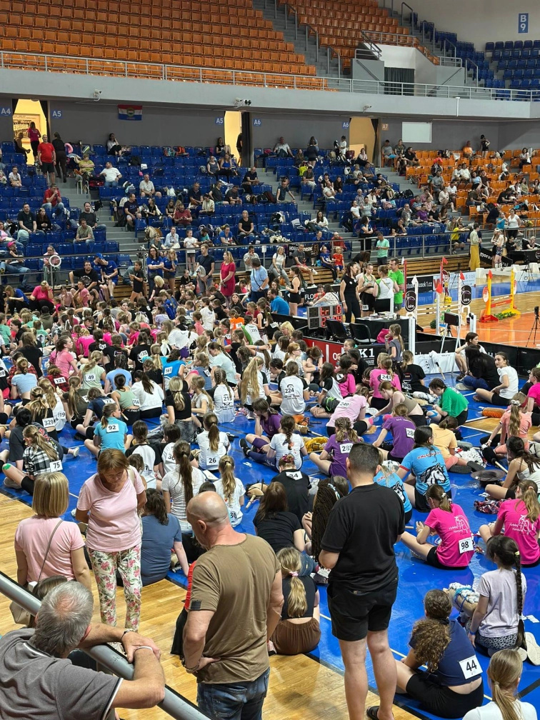 Wie läuft ein Hobby Horse Turnier ab?