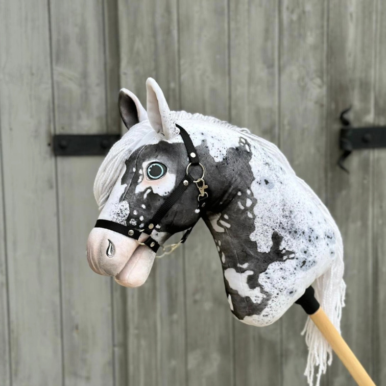 Warum LarDen die Nummer Eins ist