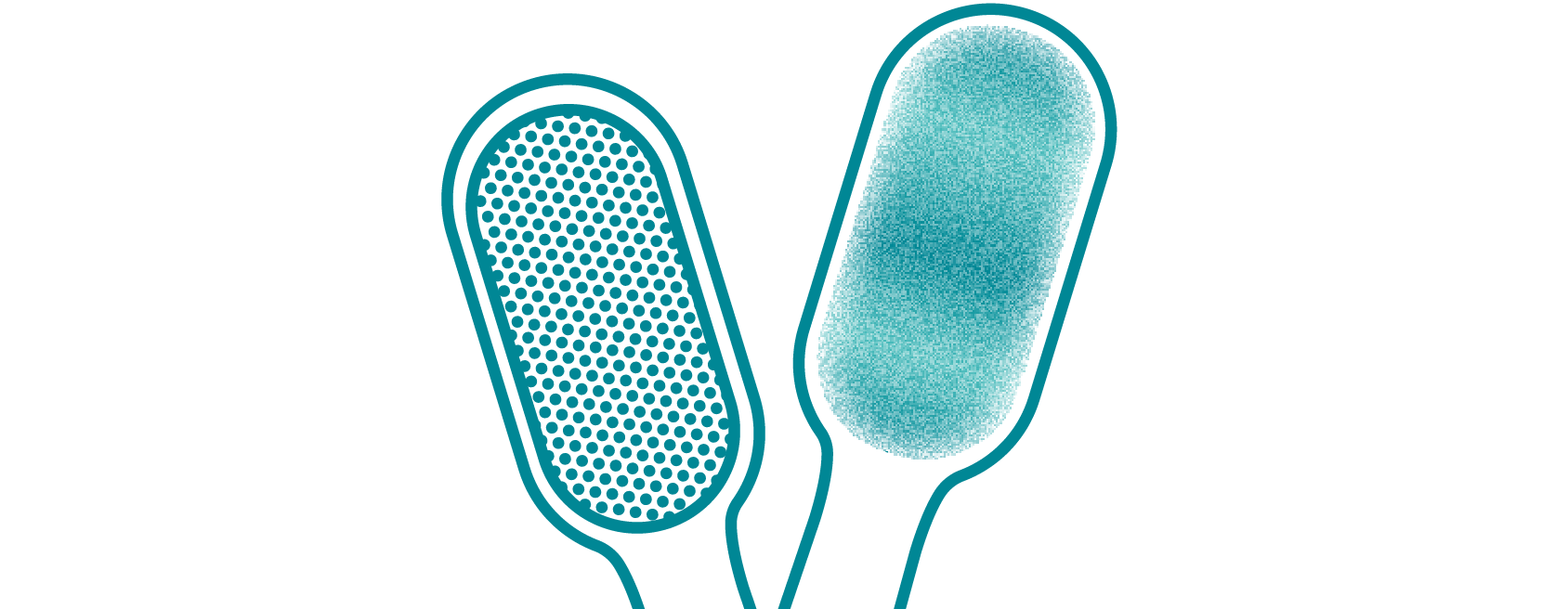 Ultrajemná hlavice Nanosmile Sonic White pro elektrický kartáček Philips Sonicare