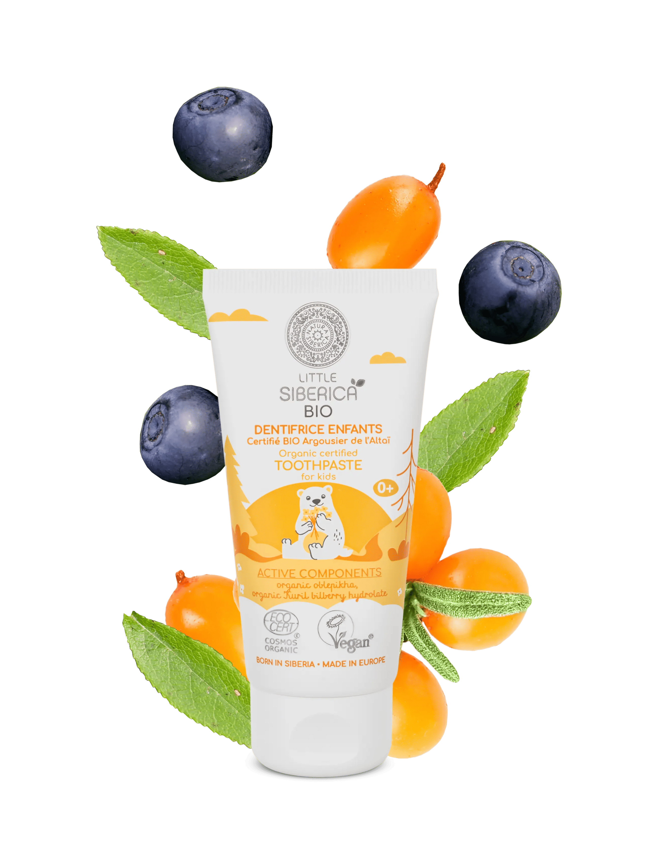 Family balíček kartáčků a past pro dospělé & děti