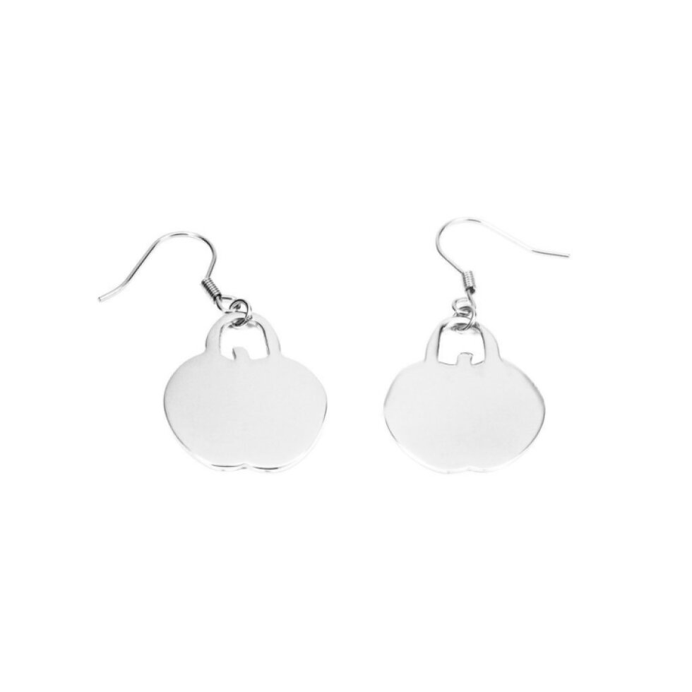 Náušnice chirurgická ocel