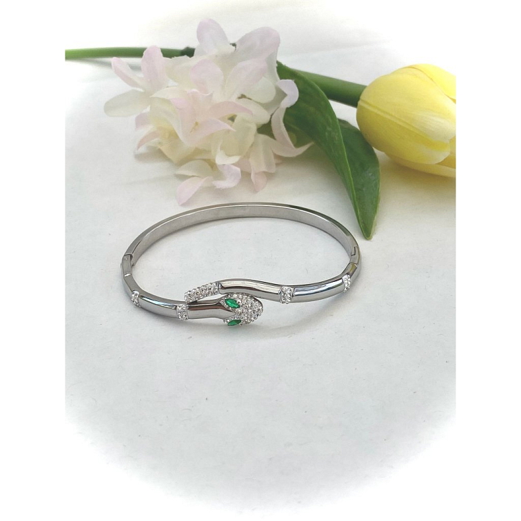 Dámský náramek z chirurgické oceli Had GR625