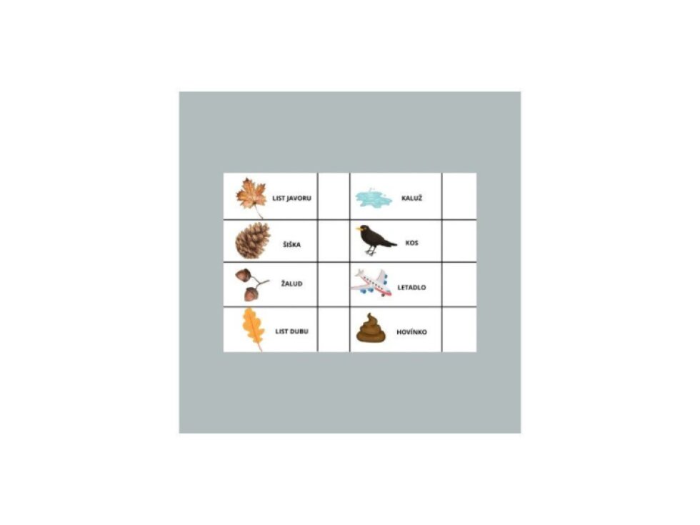 Pracovní list ke stažení ZDARMA – venkovní aktivita!