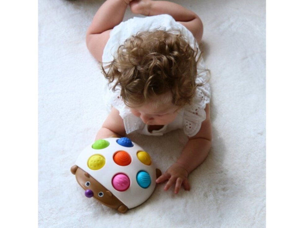 Praskající ježek Eddy