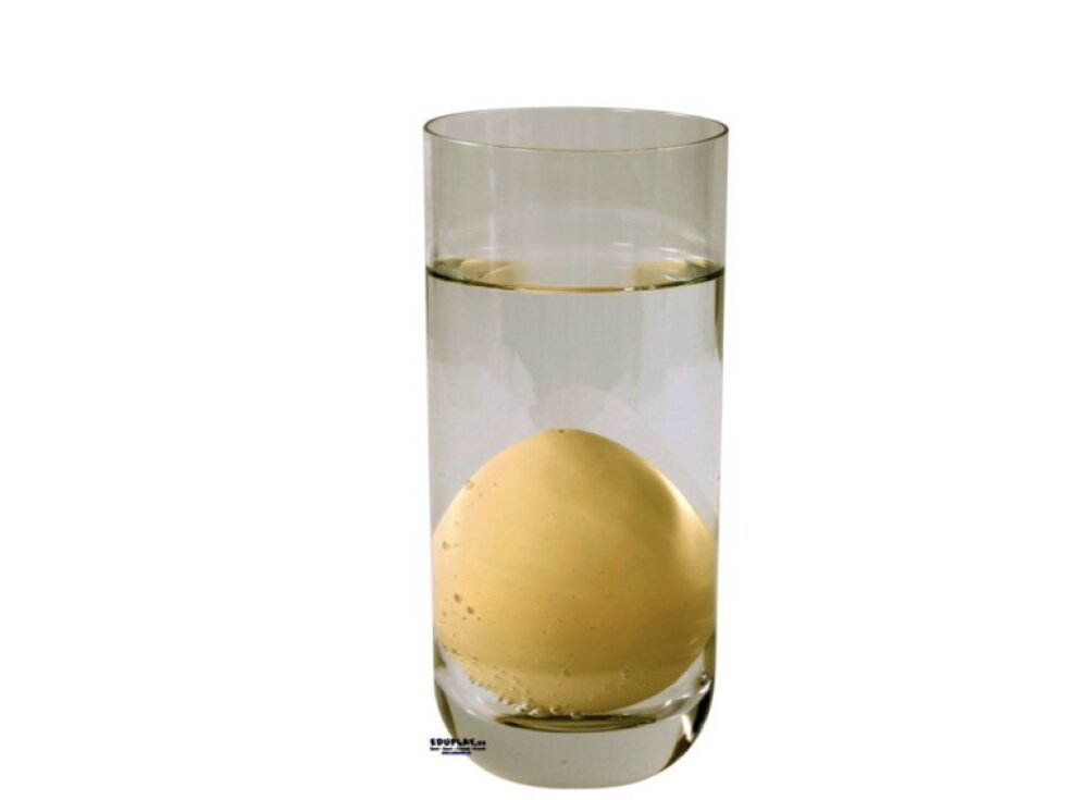 Rostoucí vajíčko s překvapením – mořští živočichové a dinosauři