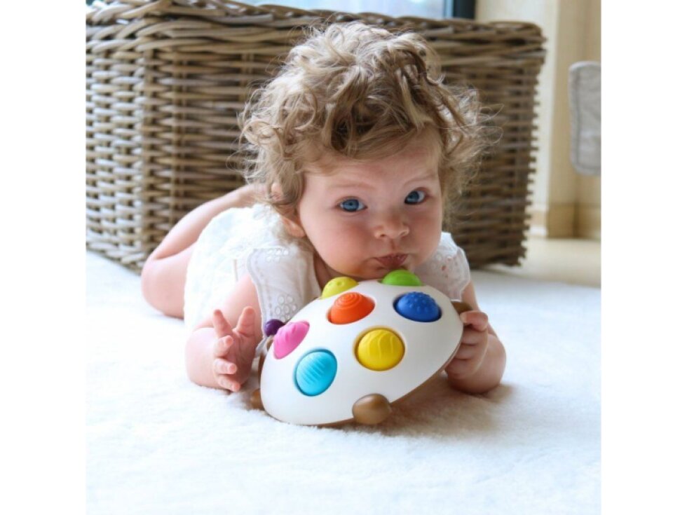 Praskající ježek Eddy