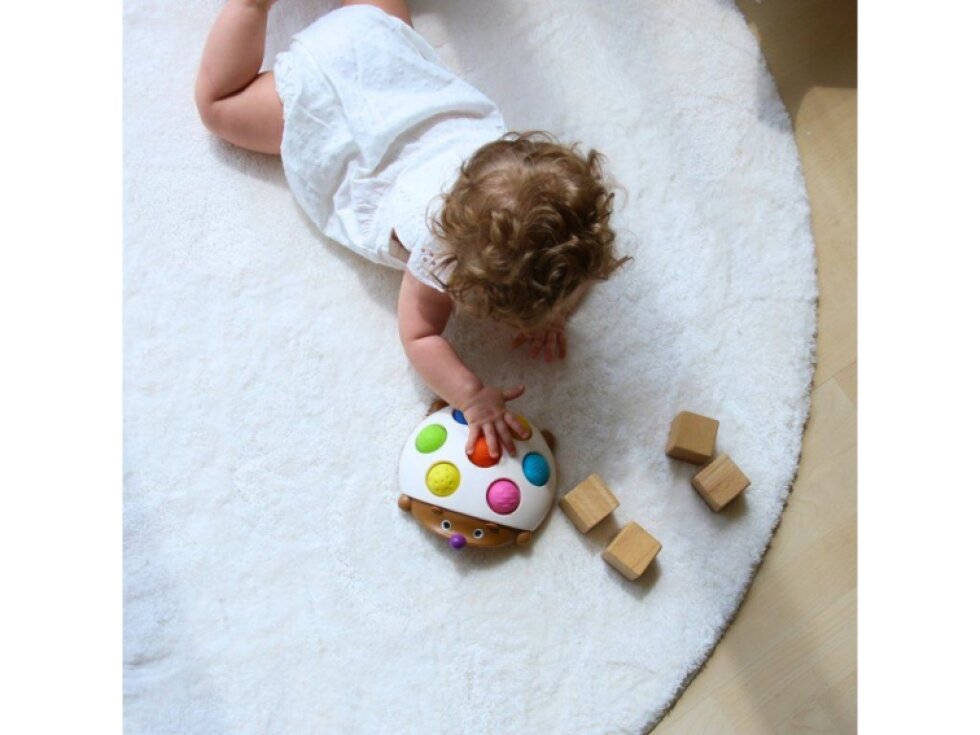 Praskající ježek Eddy