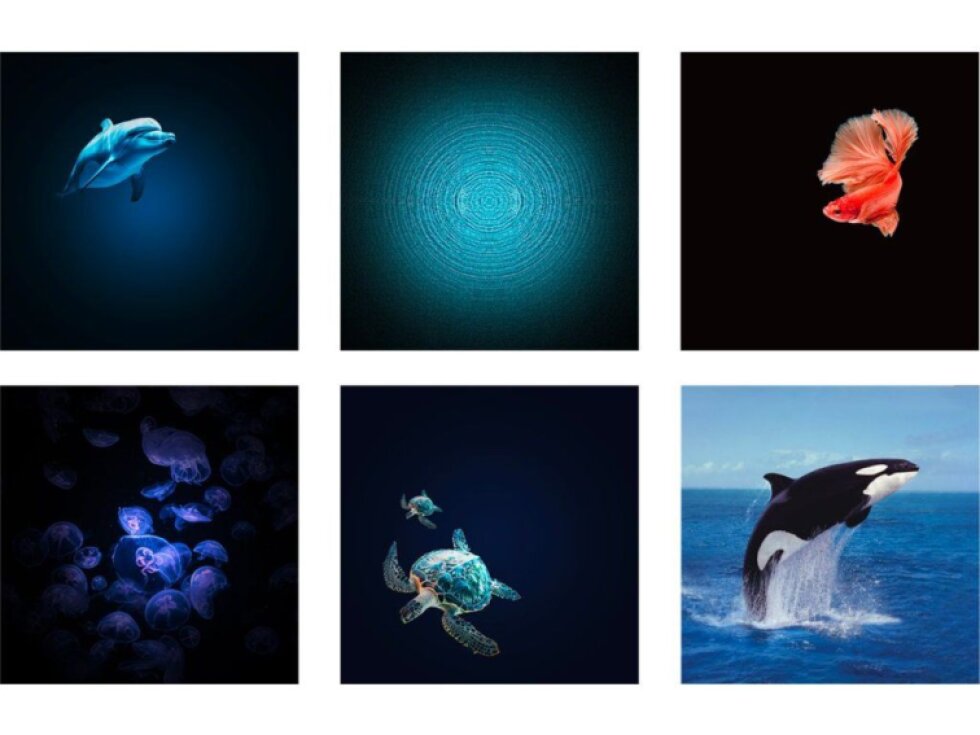 Projektor života v oceánu Kidywolf KIDYSTAR - zelená