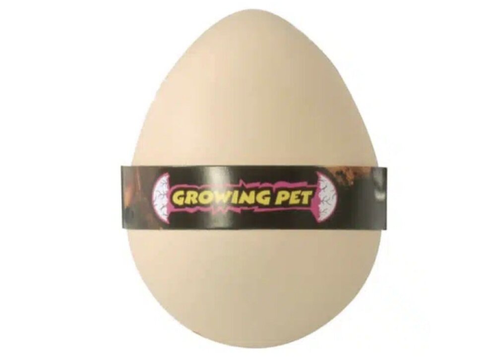 Rostoucí vajíčko s překvapením – mořští živočichové a dinosauři