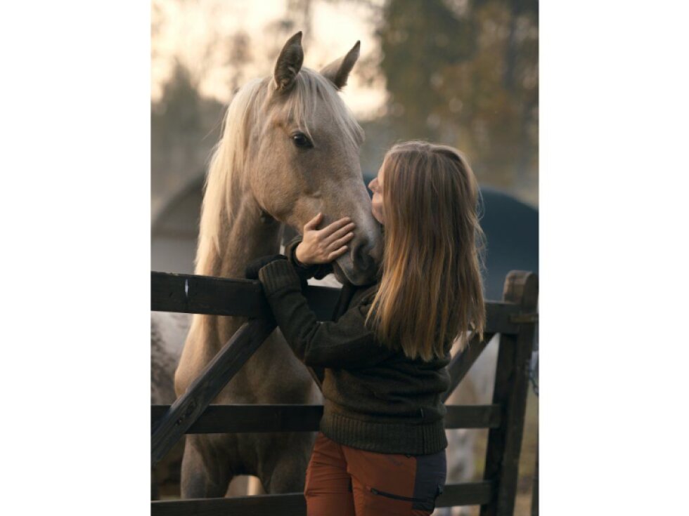 svetr Hurricane Ladies - Pinewood