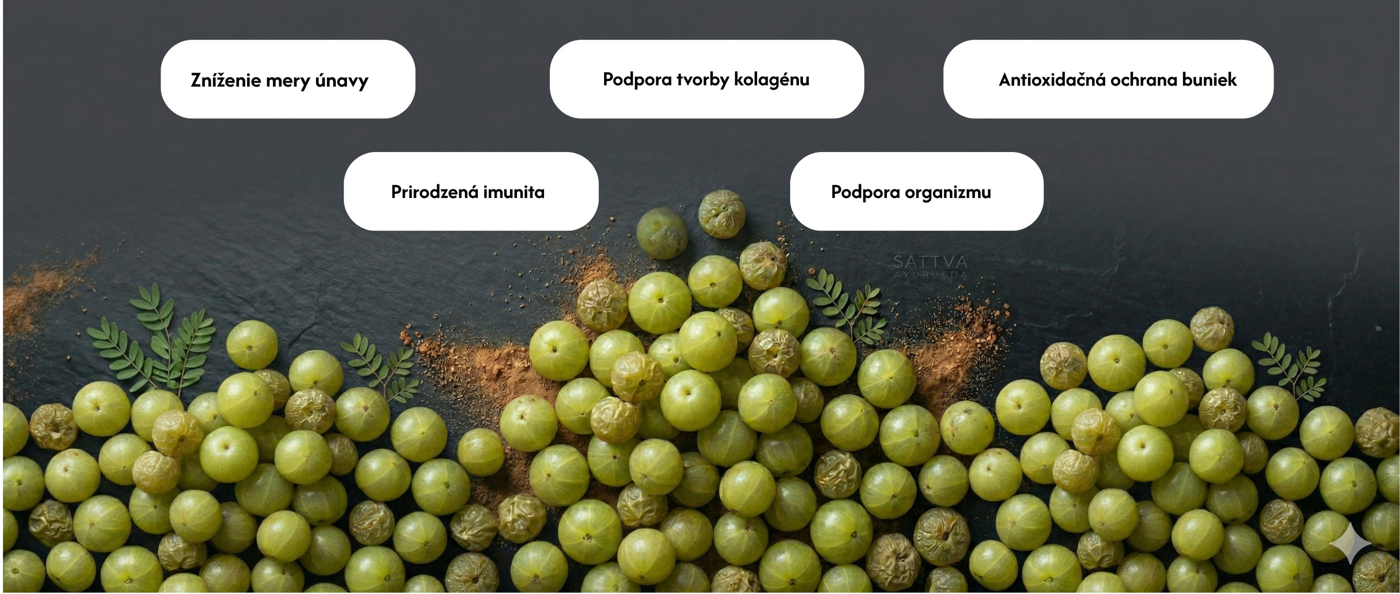Čavanpraš (Chyawanprash), 500 g, Sattva