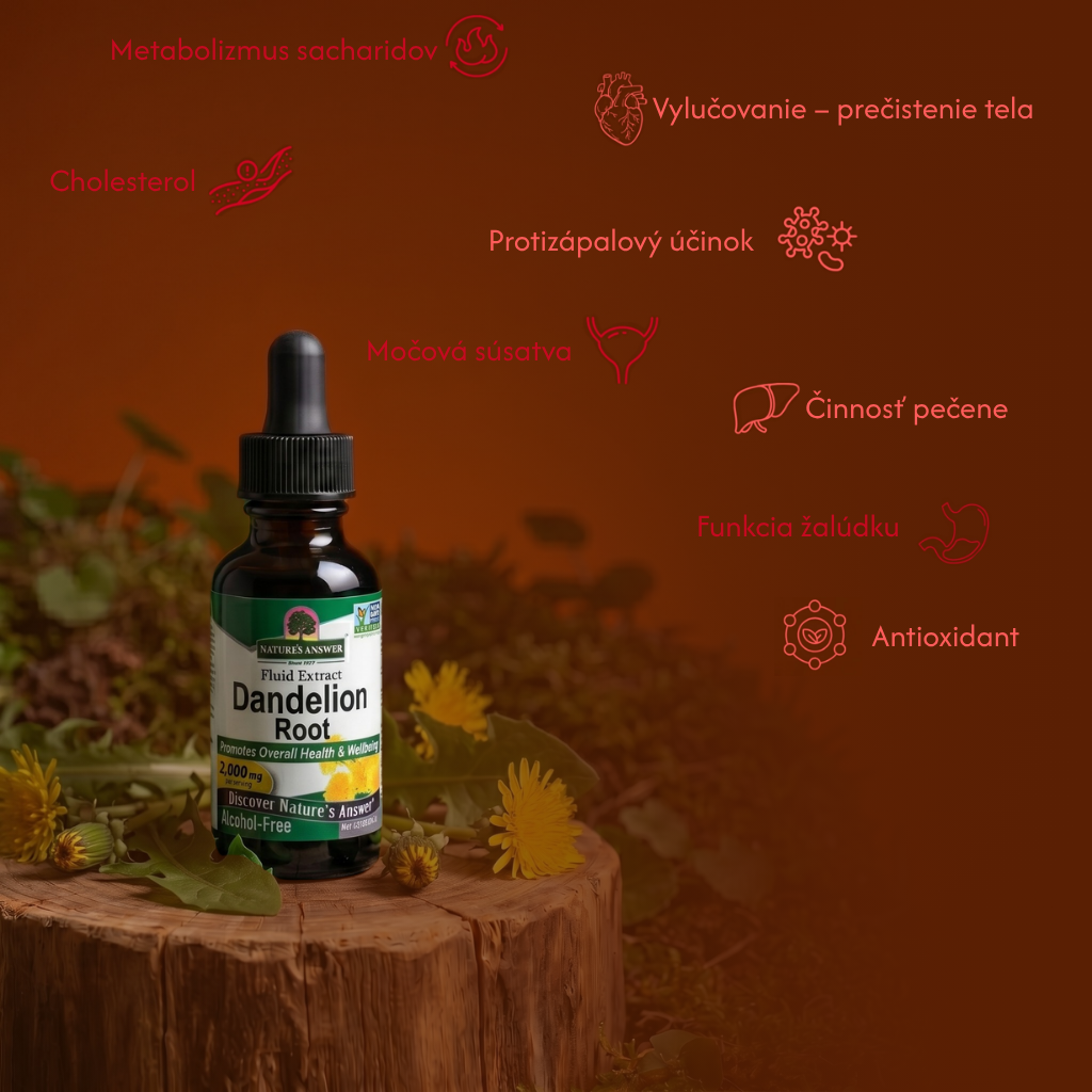 Púpava lekárska, bylinné kvapky, 30 ml, Nature's Answer
