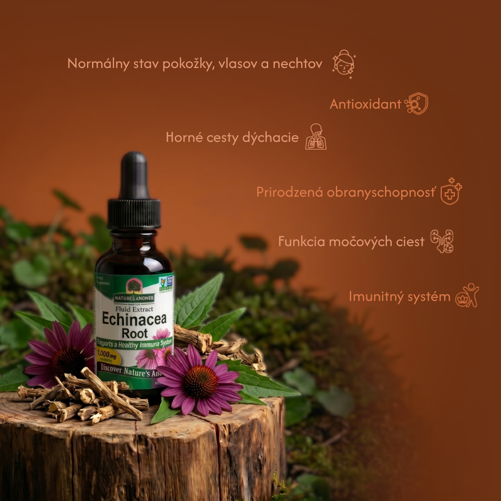 Echinacea, bylinné kvapky, 30 ml, Nature's Answer