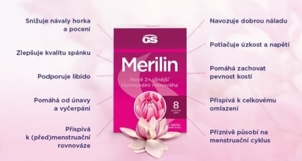 GS Merilin original XXL 60 + 20 tbl.